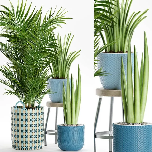 decoration – Plants 166 3D Model decoration – Plants 166 3D Model