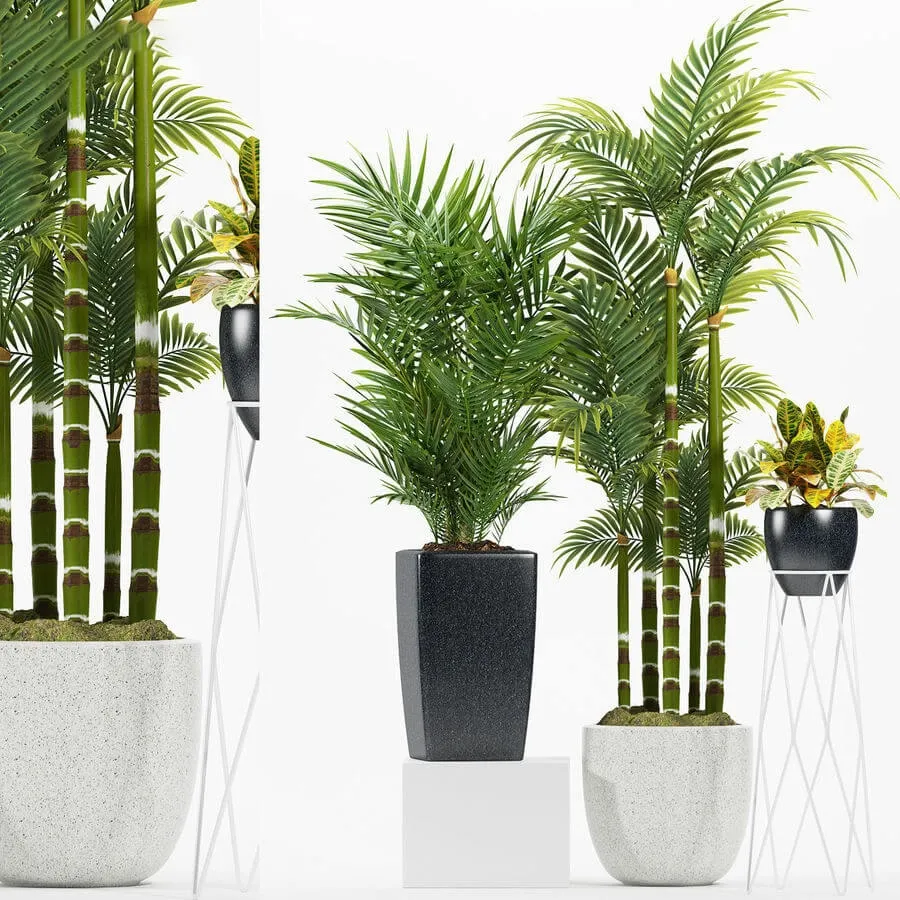 decoration – Plants 174 3D Model