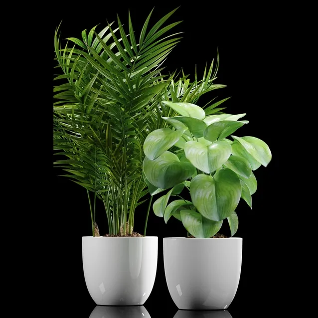decoration – Plants 177 3D Model