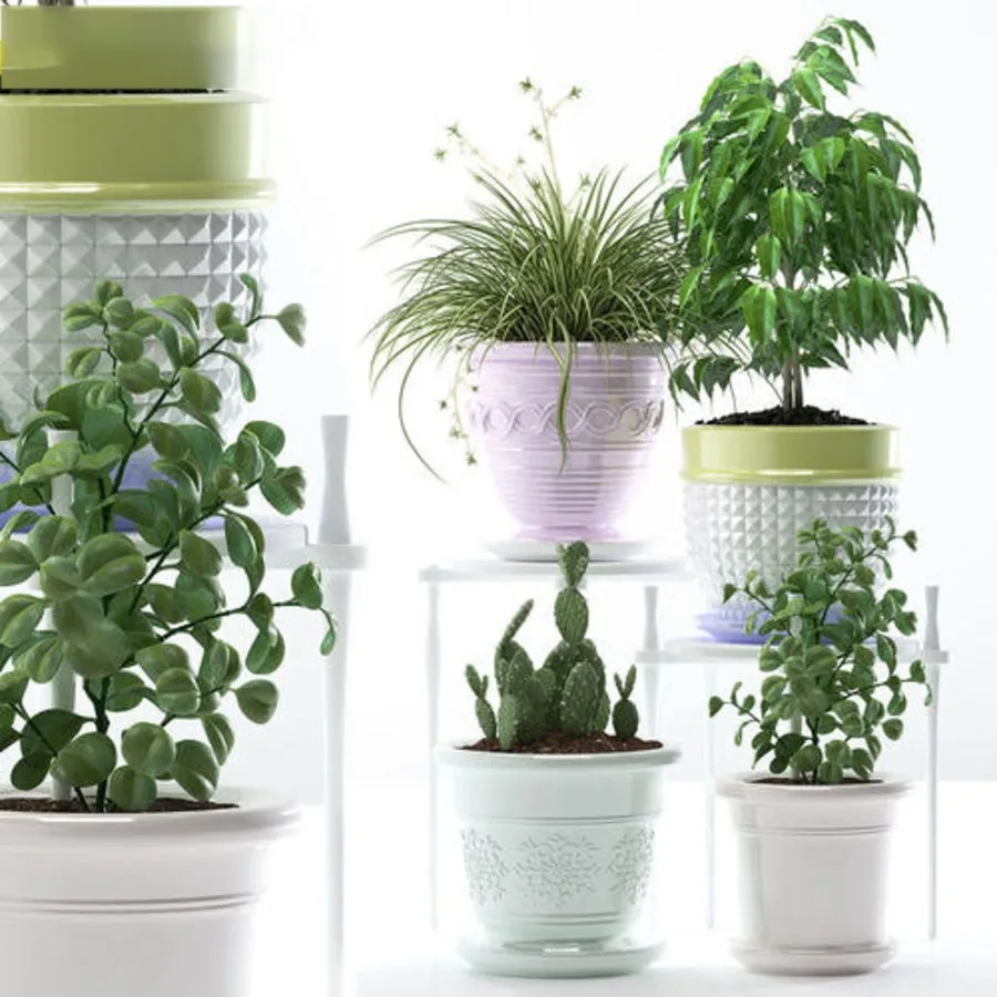 decoration – Plants 183 3D Model