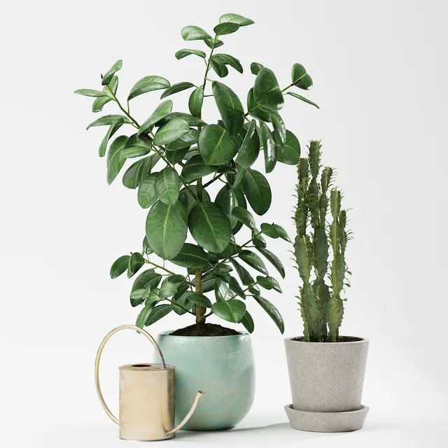 decoration – Plants 186 3D Model decoration – Plants 186 3D Model