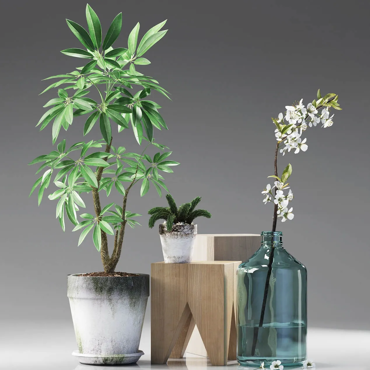 decoration – Plants 187 3D Model decoration – Plants 187 3D Model