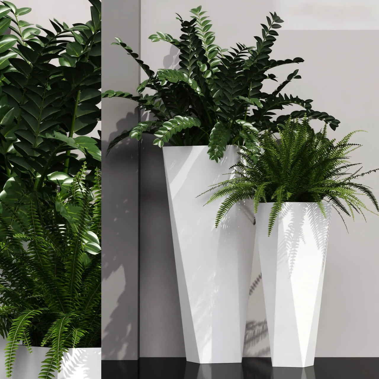 decoration – Plants 19 3D Model