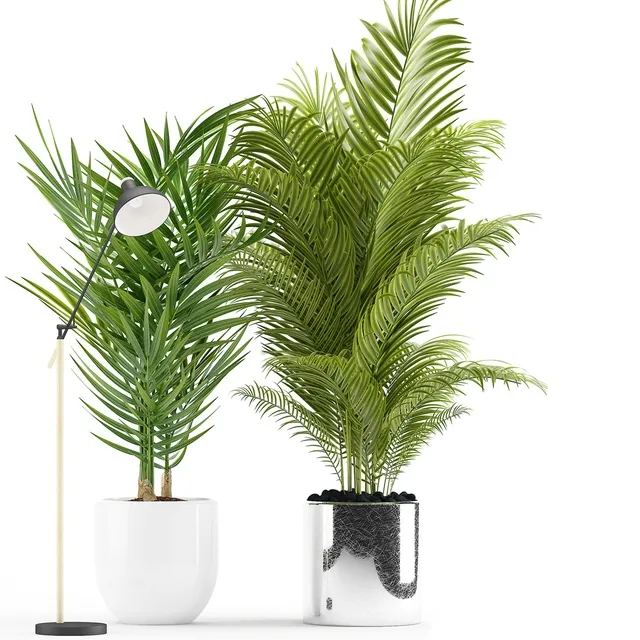 decoration – Plants 191 3D Model decoration – Plants 191 3D Model