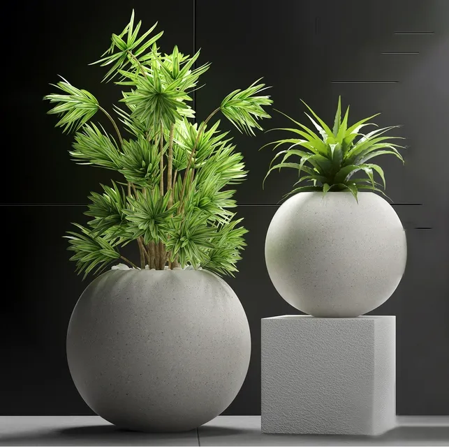 decoration – Plants 196 3D Model decoration – Plants 196 3D Model