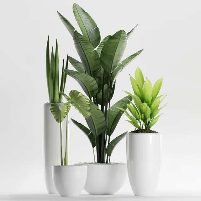 decoration – Plants 199 3D Model decoration – Plants 199 3D Model