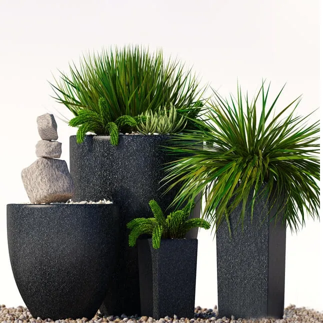 decoration – Plants 202 3D Model decoration – Plants 202 3D Model