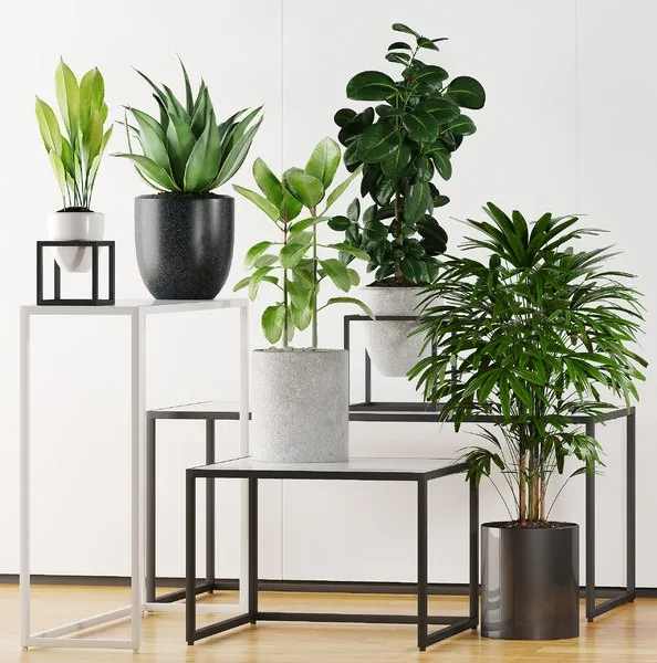 decoration – Plants 203 3D Model decoration – Plants 203 3D Model