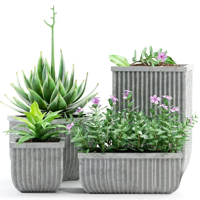 decoration – Plants 209 3D Model