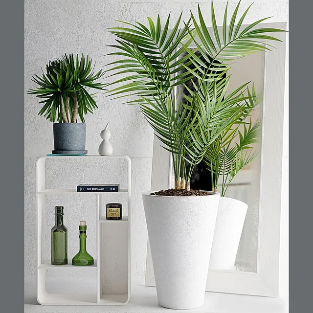 decoration – Plants 213 3D Model