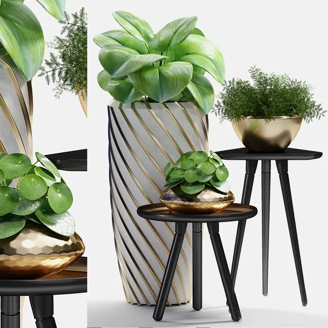 decoration – Plants 217 3D Model decoration – Plants 217 3D Model