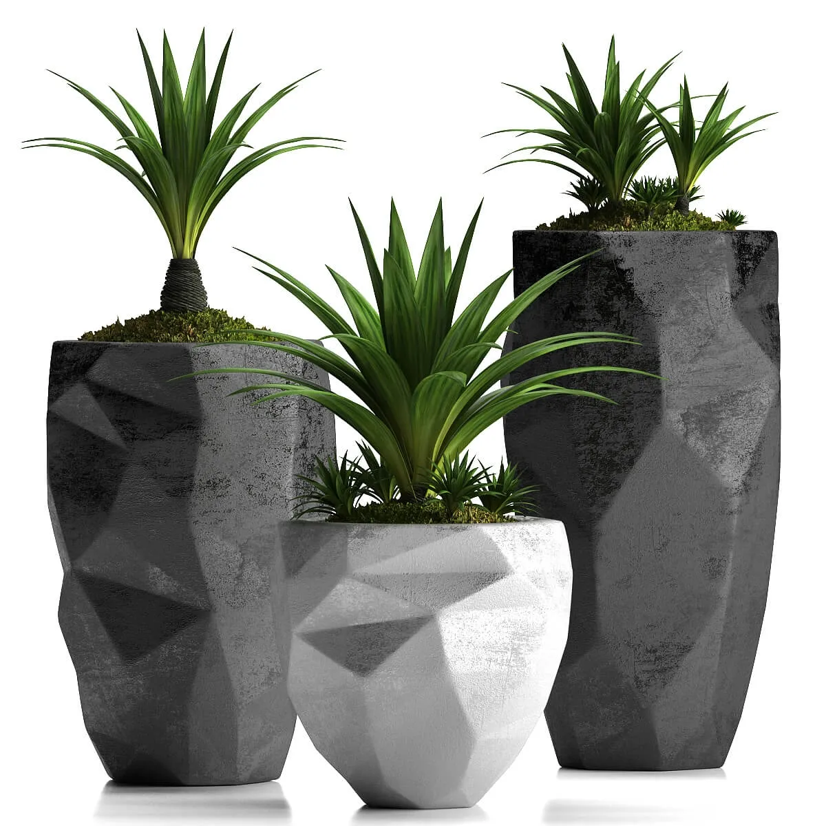 decoration – Plants 33 3D Model decoration – Plants 33 3D Model