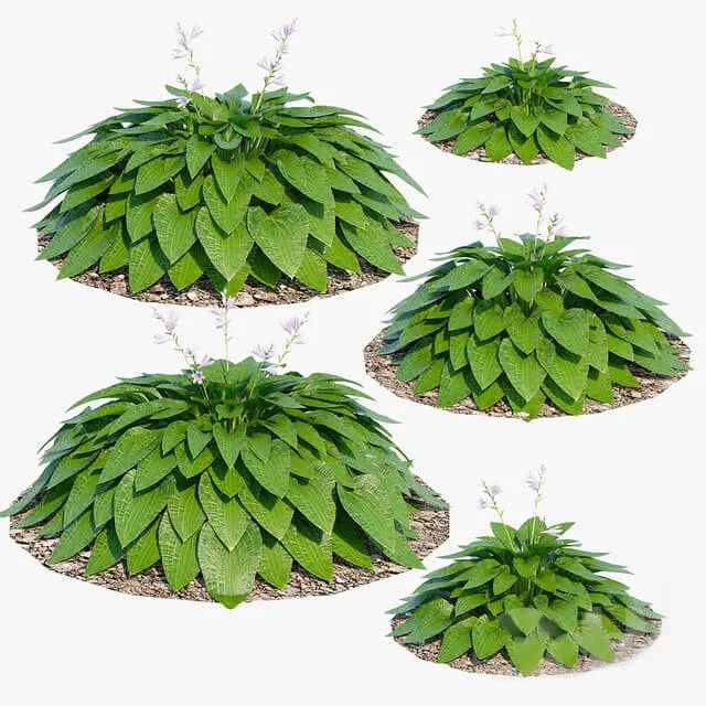 decoration – Plants 36 3D Model decoration – Plants 36 3D Model