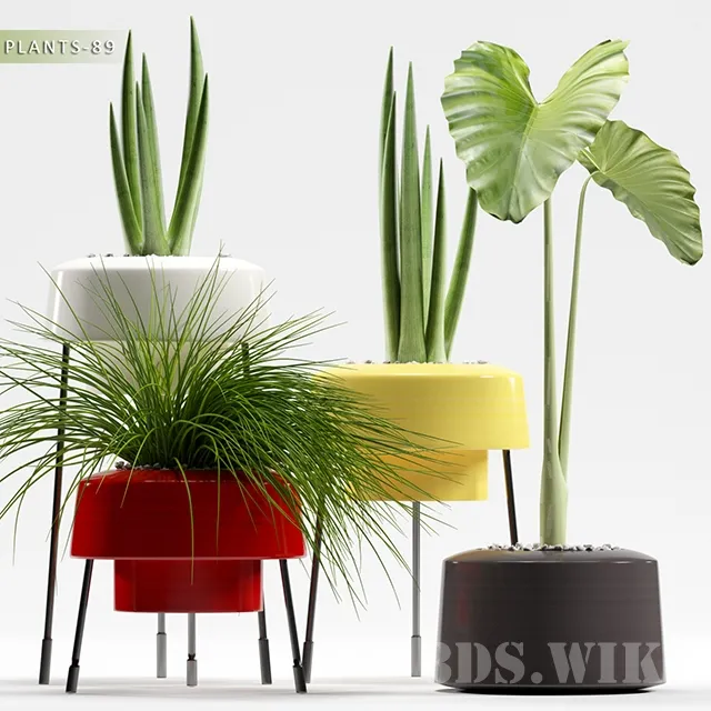 decoration – PLANTS 3D Model decoration – PLANTS 3D Model