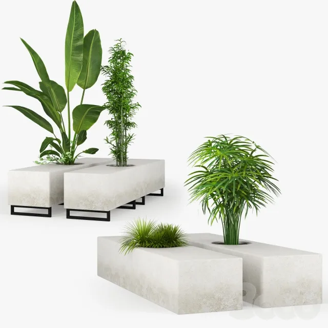 decoration – Plants 3D Model