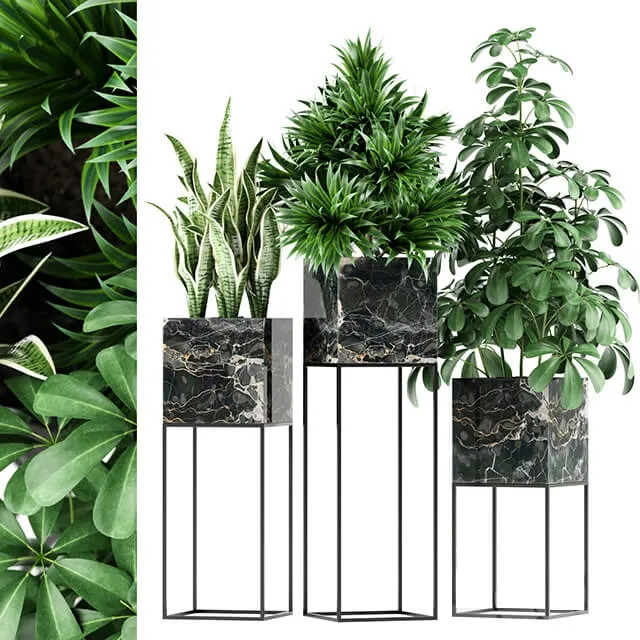 decoration – Plants 45 3D Model decoration – Plants 45 3D Model