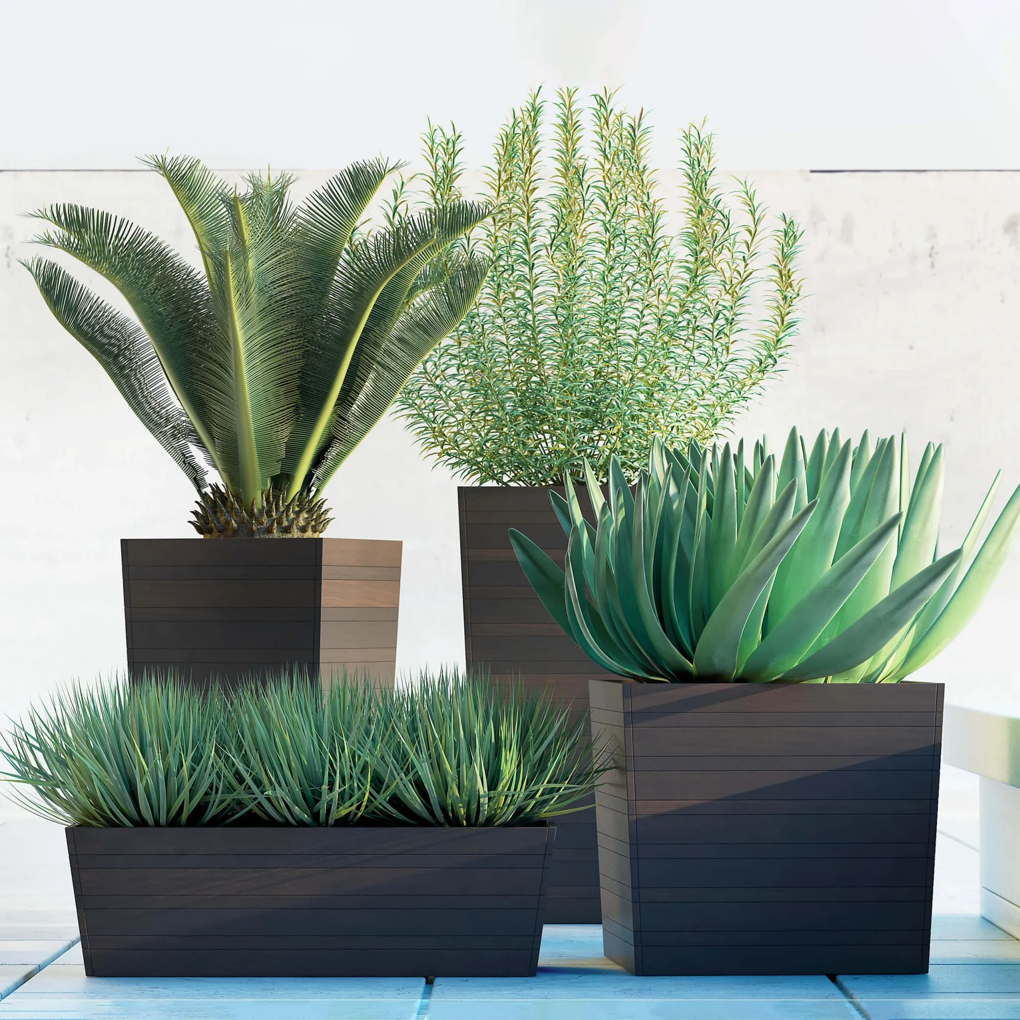 decoration – Plants 5055 3D Model decoration – Plants 5055 3D Model