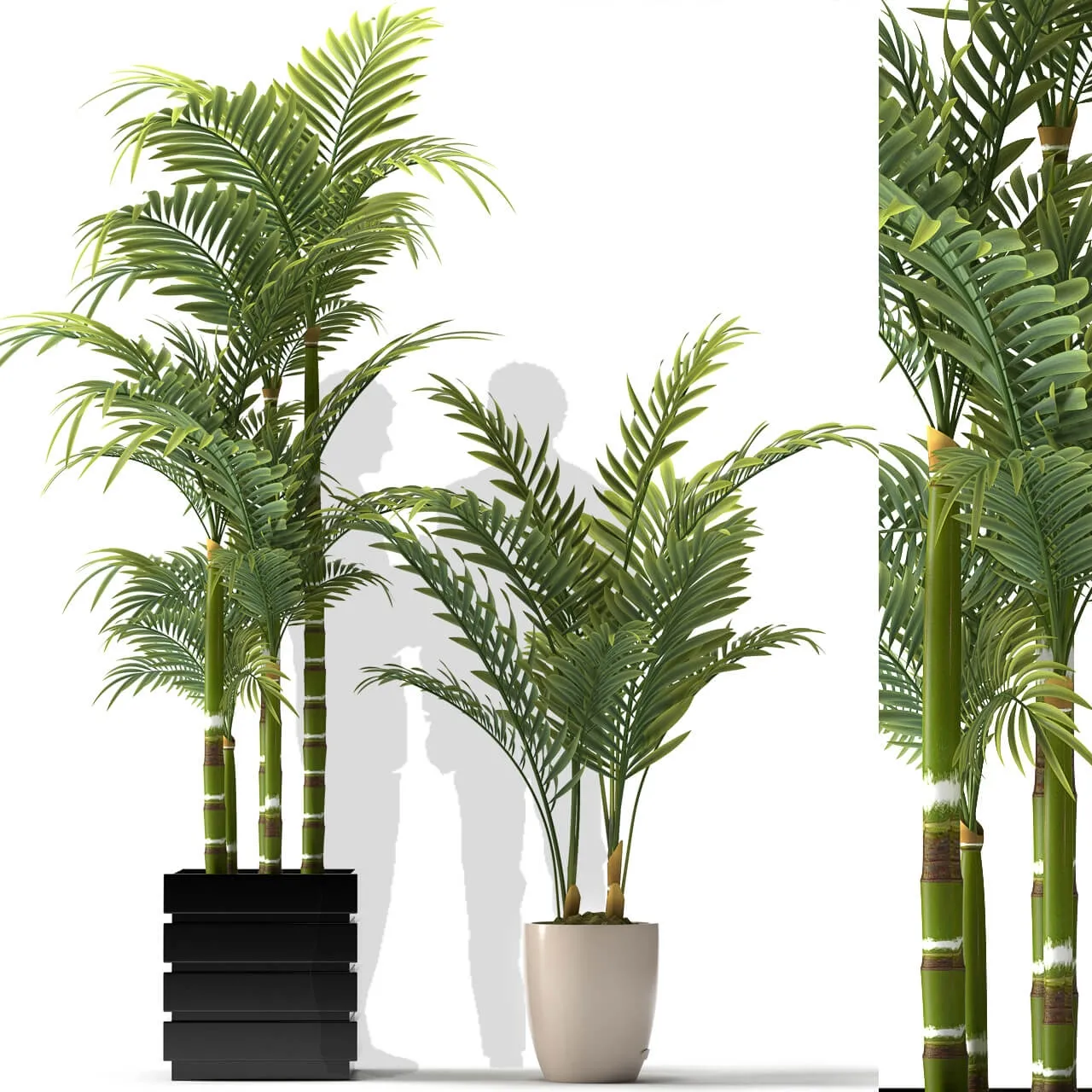 decoration – Plants 5056 3D Model decoration – Plants 5056 3D Model