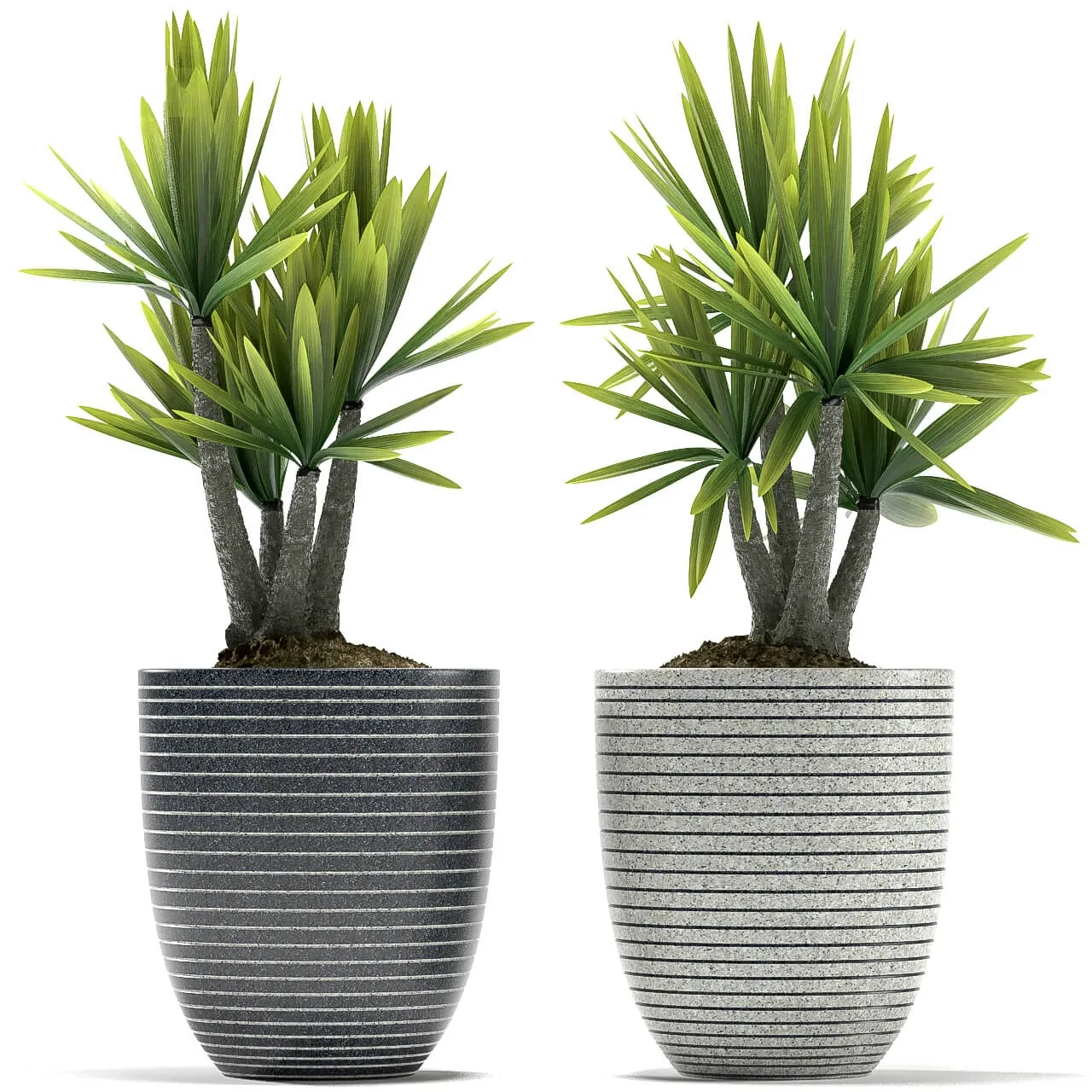 decoration – Plants 5059 3D Model decoration – Plants 5059 3D Model