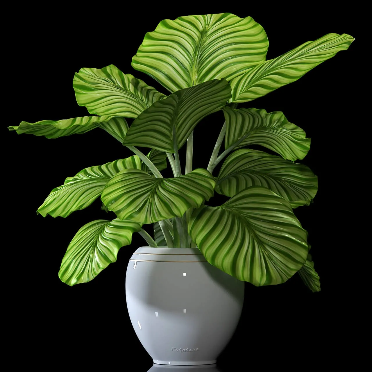 decoration – Plants 5062 3D Model decoration – Plants 5062 3D Model