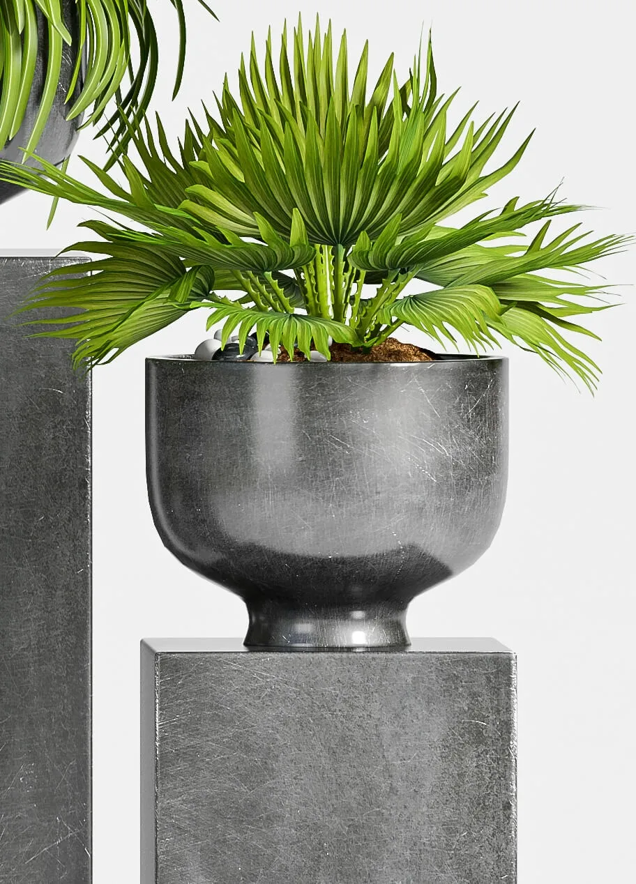 decoration – Plants-54 3D Model decoration – Plants-54 3D Model