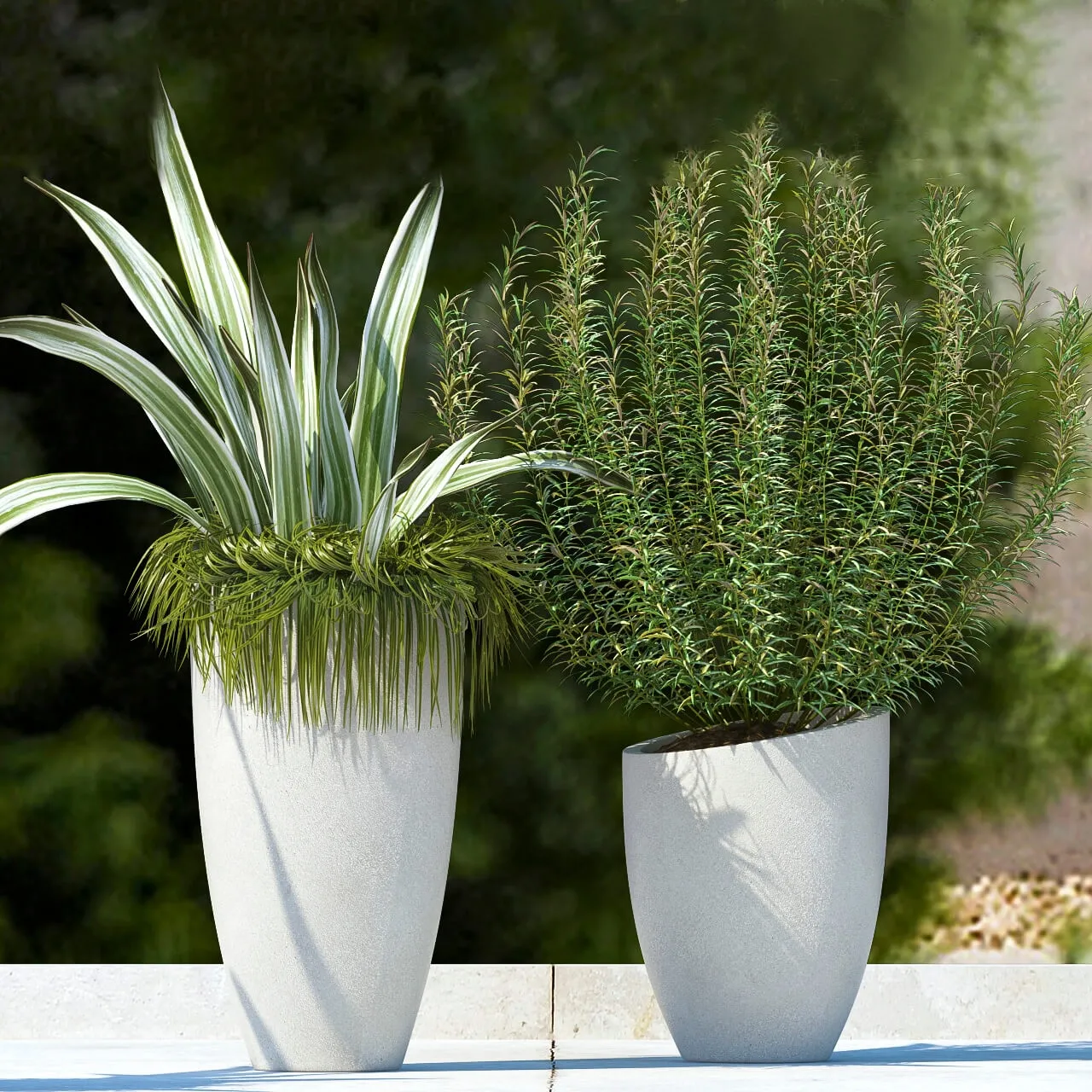 decoration – Plants 545 3D Model decoration – Plants 545 3D Model