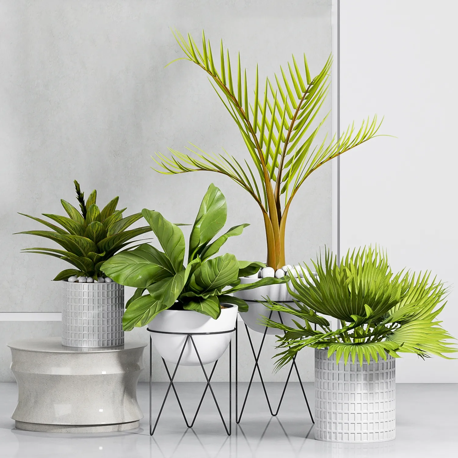 decoration – Plants-55 3D Model decoration – Plants-55 3D Model
