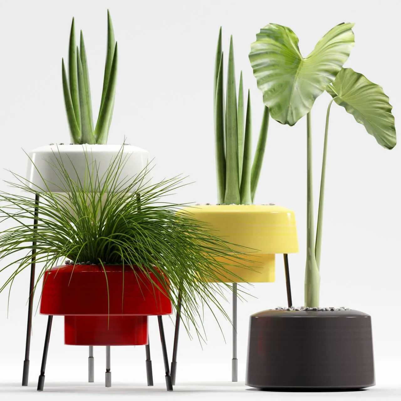decoration – Plants 557 3D Model decoration – Plants 557 3D Model