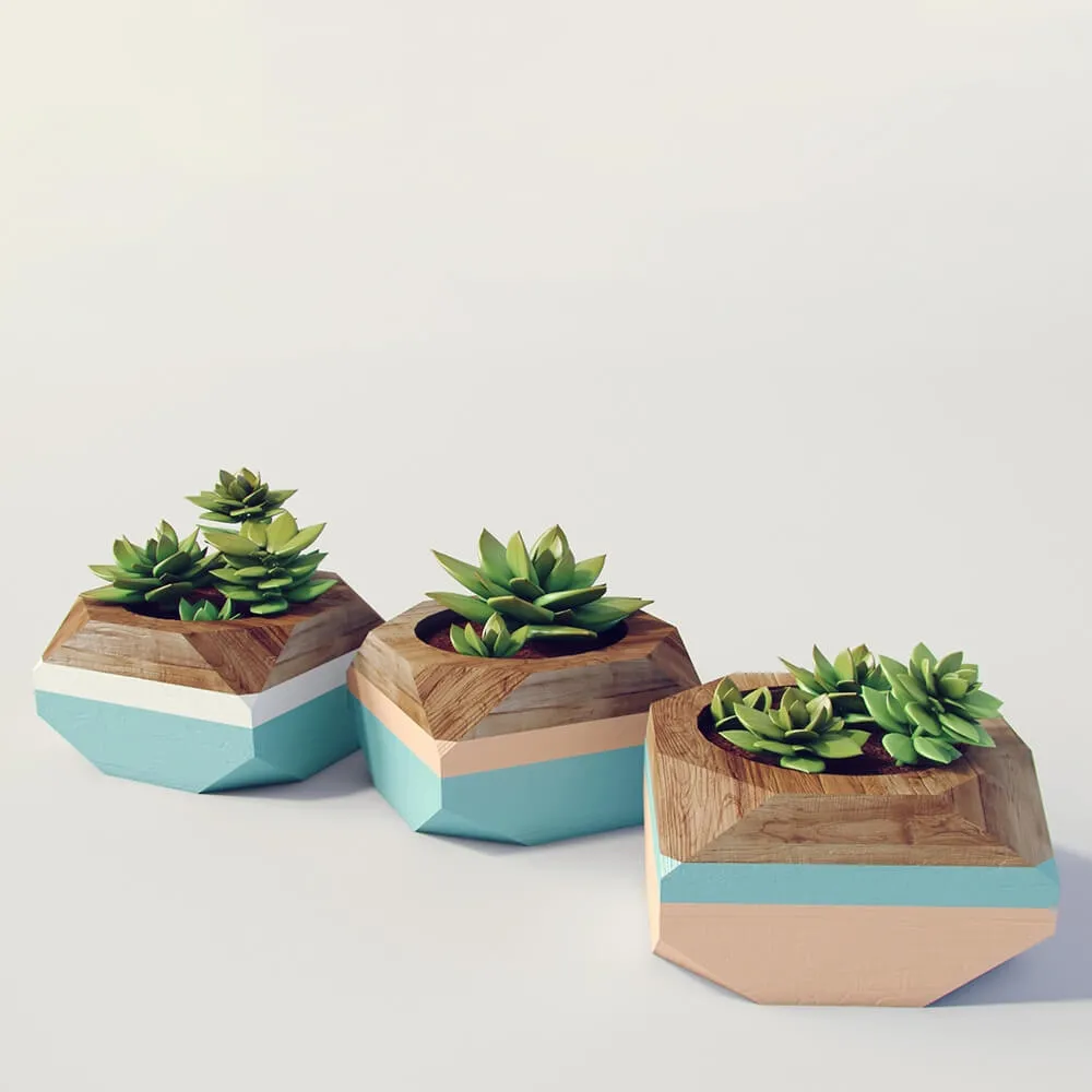 decoration – Plants 582 3D Model