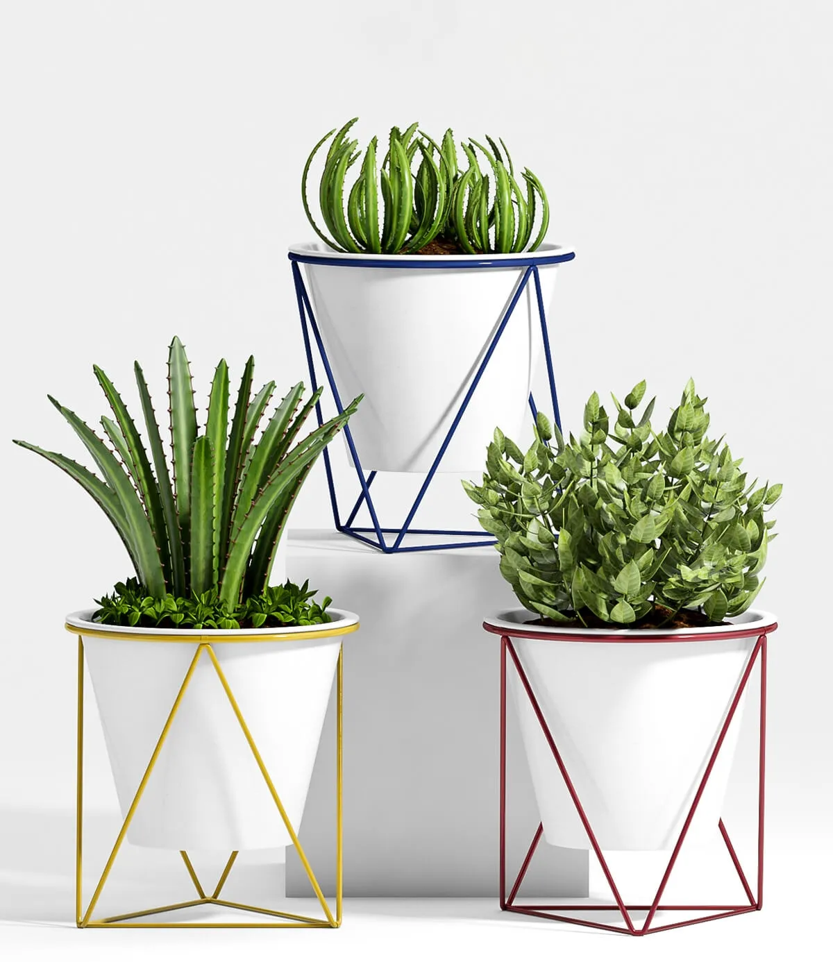 decoration – Plants 59 3D Model decoration – Plants 59 3D Model