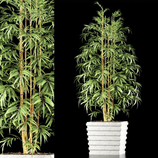 decoration – PLANTS 61 3D Model decoration – PLANTS 61 3D Model