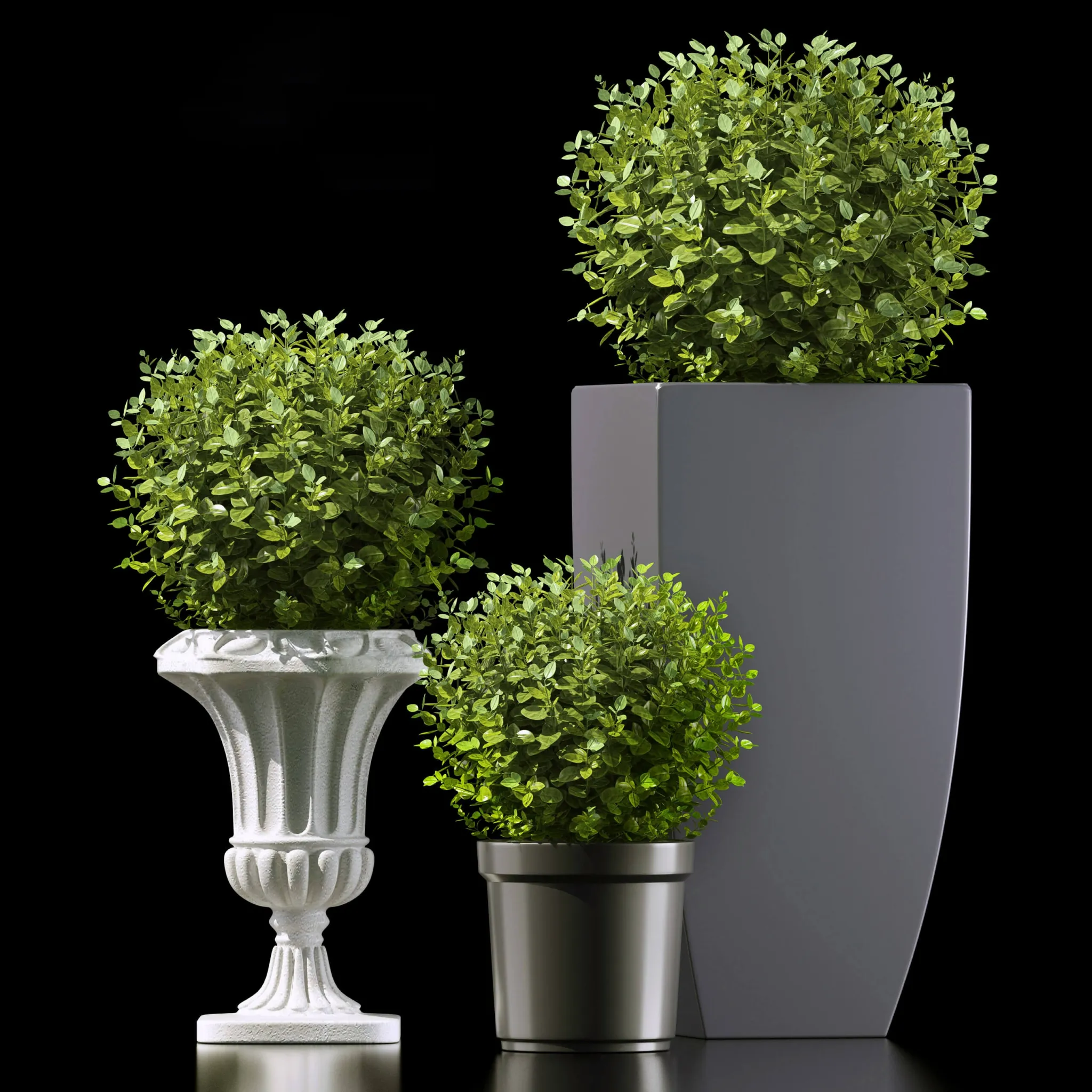 decoration – Plants 73 3D Model decoration – Plants 73 3D Model