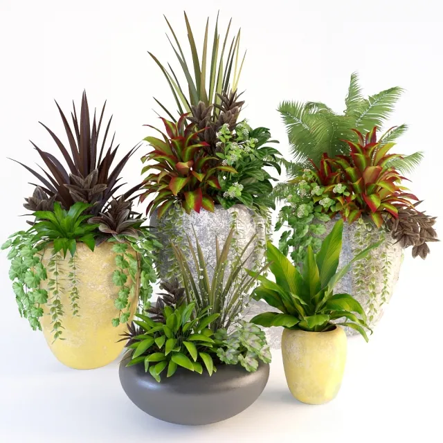 decoration – Plants 84 3D Model decoration – Plants 84 3D Model