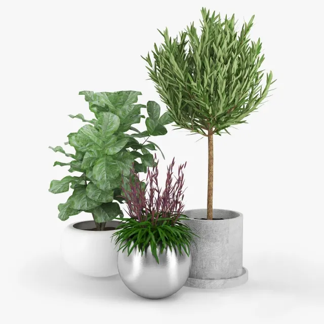 decoration – Plants 85 3D Model decoration – Plants 85 3D Model