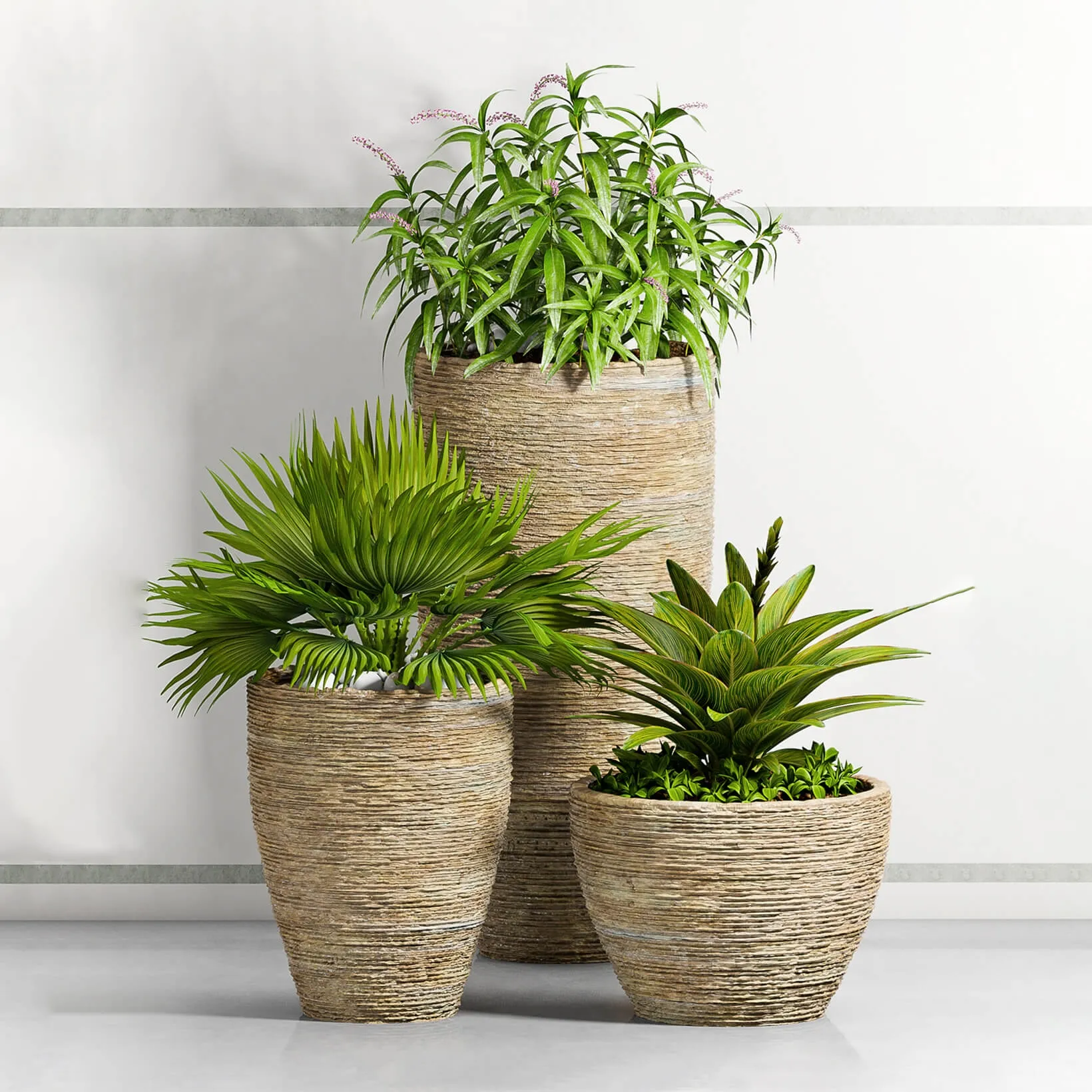 decoration – Plants 85 3D Model decoration – Plants 85 3D Model