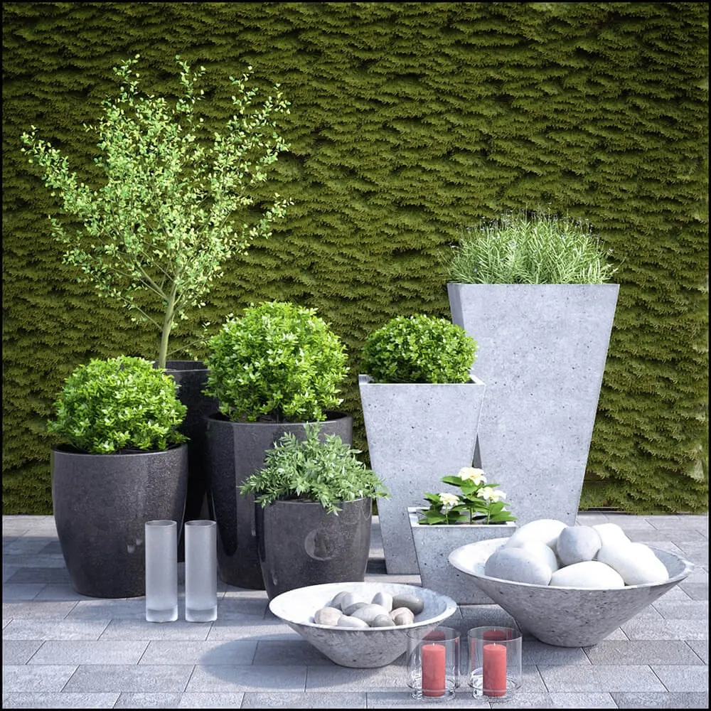 decoration – Plants 859 3D Model decoration – Plants 859 3D Model