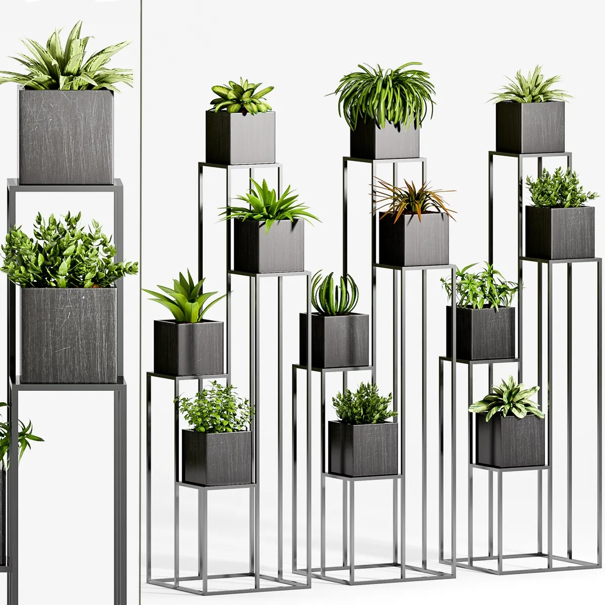 decoration – Plants 87 3D Model