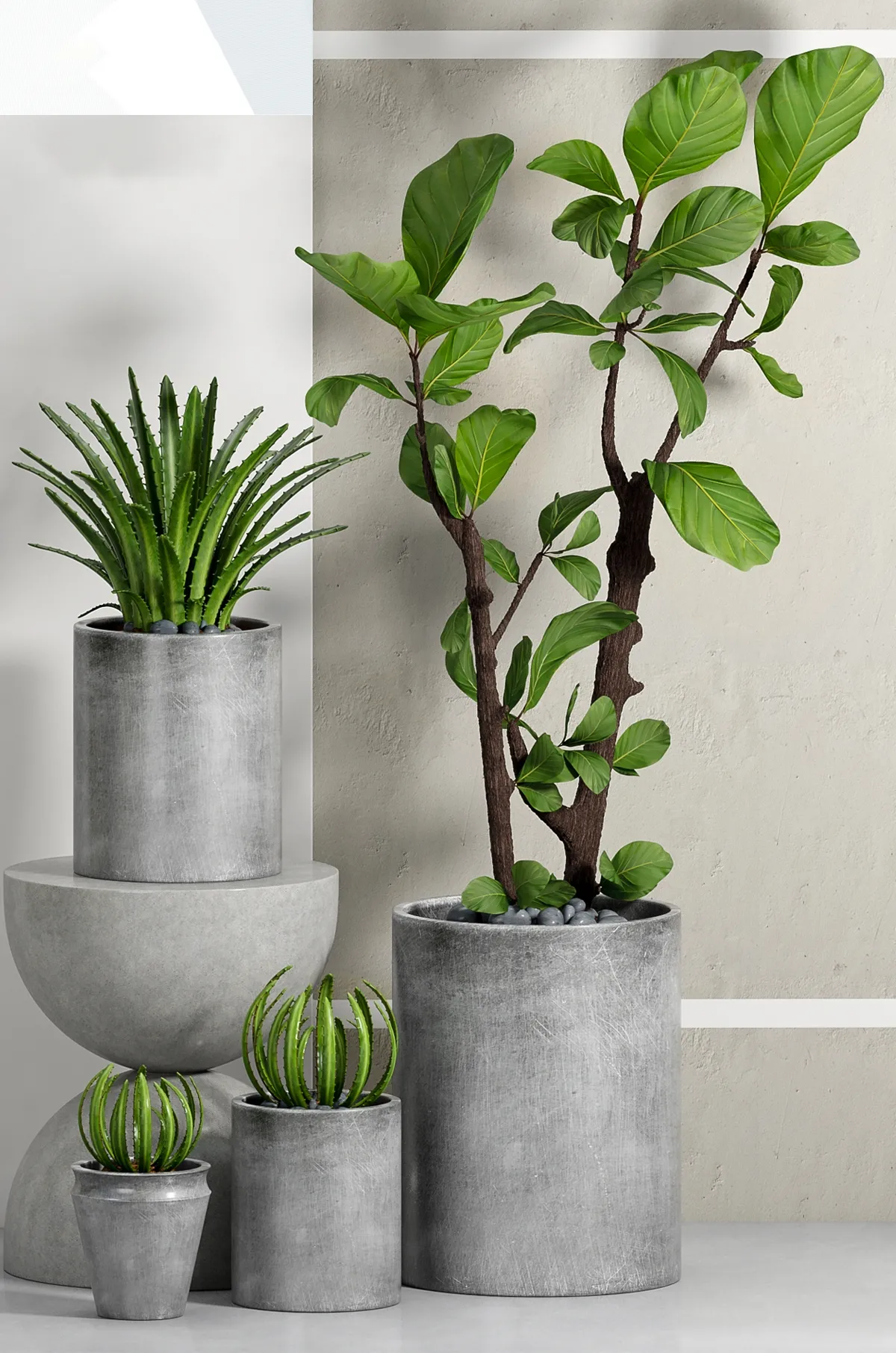 decoration – Plants 88 3D Model