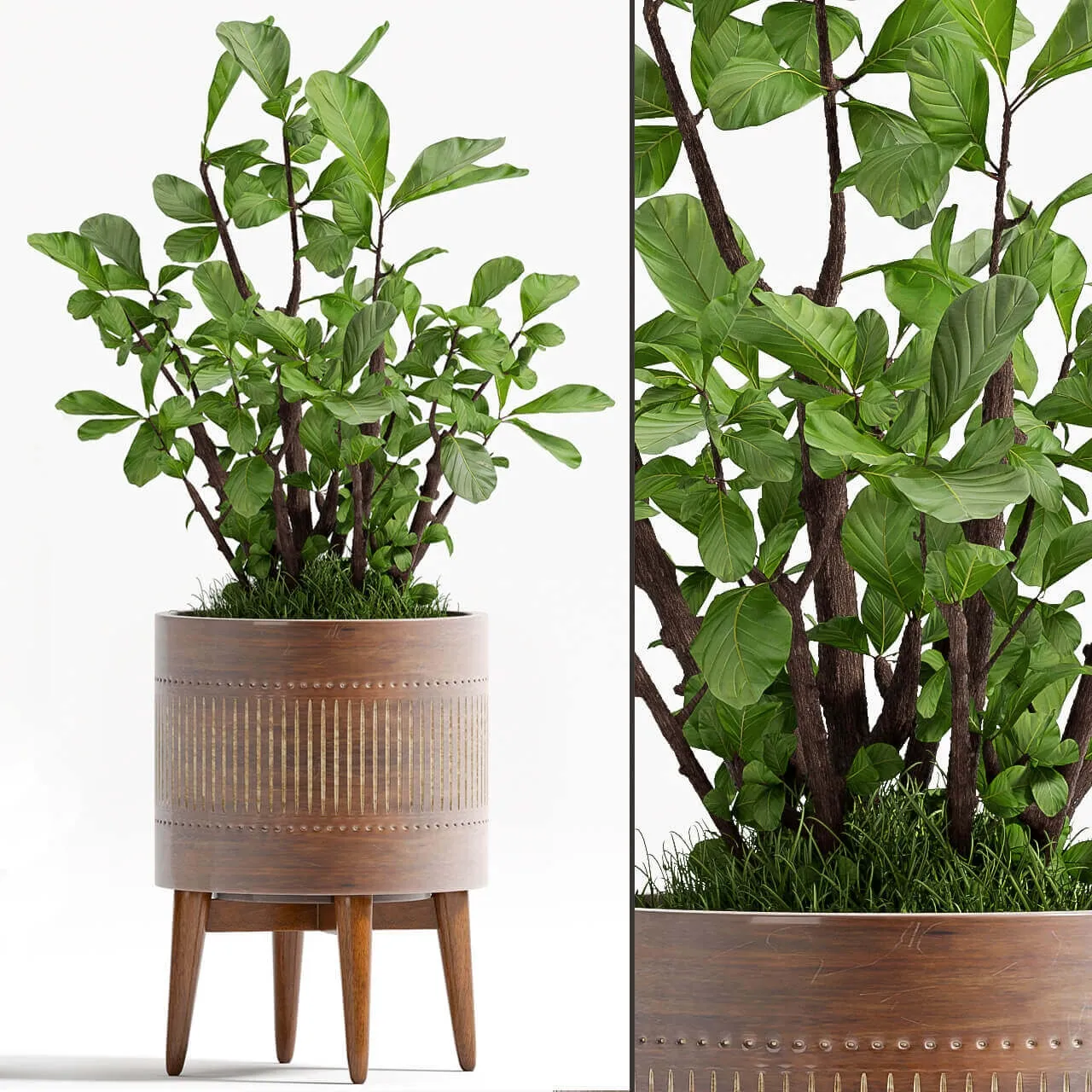 decoration – Plants 88 3D Model decoration – Plants 88 3D Model