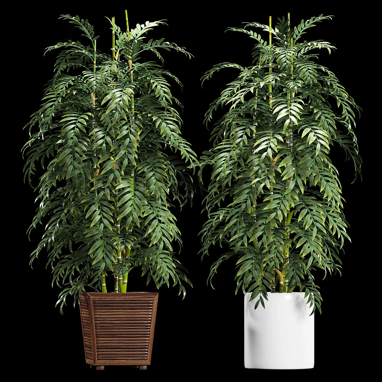 decoration – Plants 90 3D Model decoration – Plants 90 3D Model