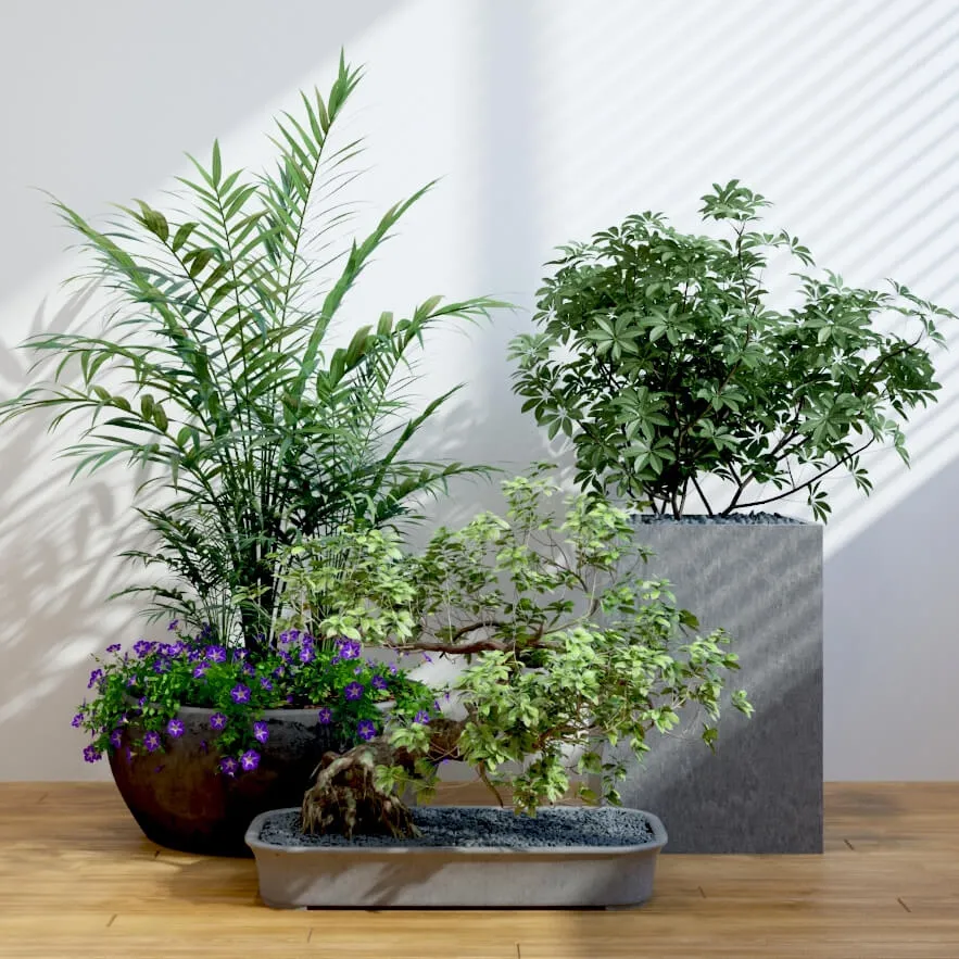 decoration – Plants 93 3D Model