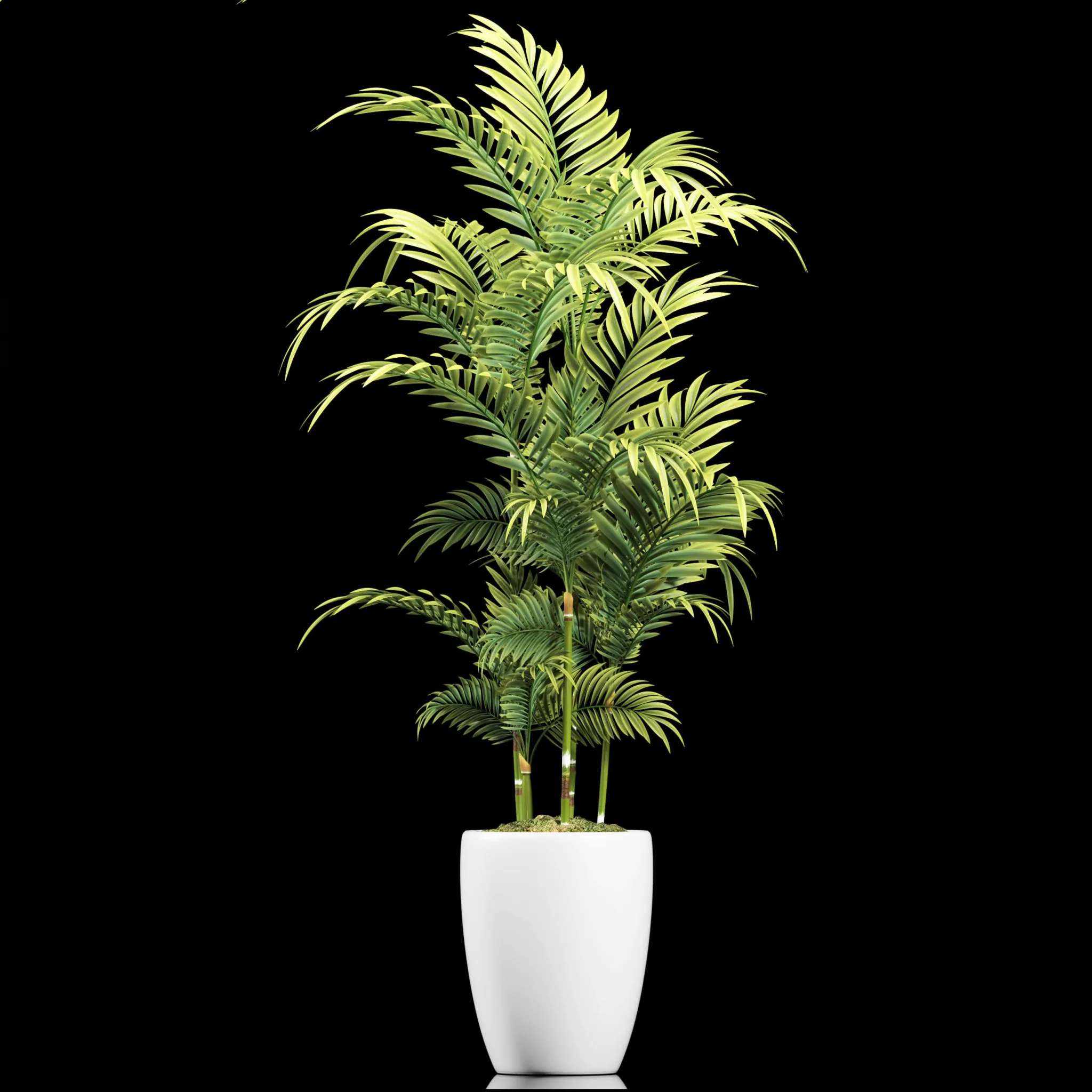decoration – Plants 95 3D Model decoration – Plants 95 3D Model