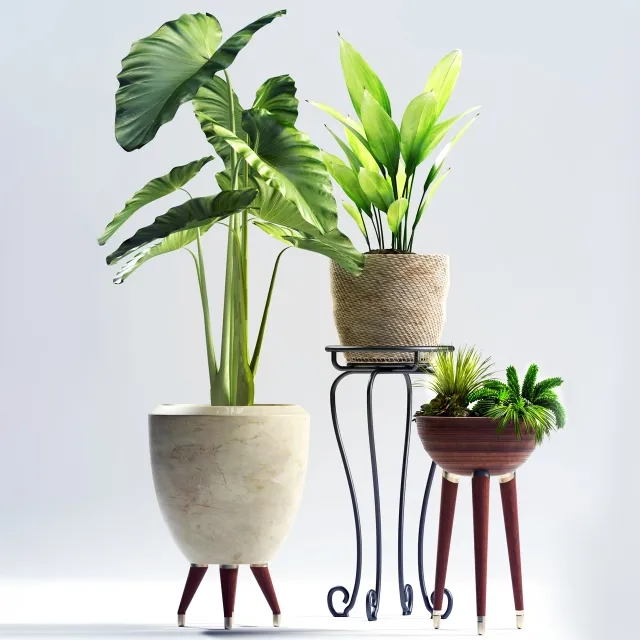 decoration – Plants 97 3D Model decoration – Plants 97 3D Model