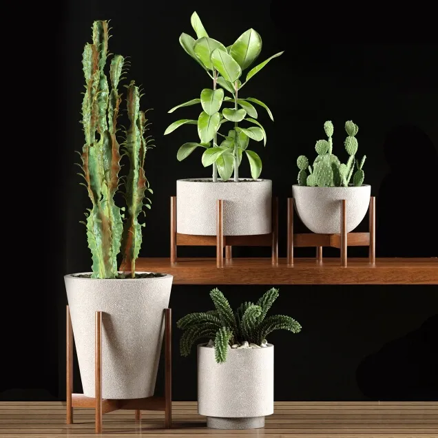 decoration – Plants 9836 3D Model decoration – Plants 9836 3D Model