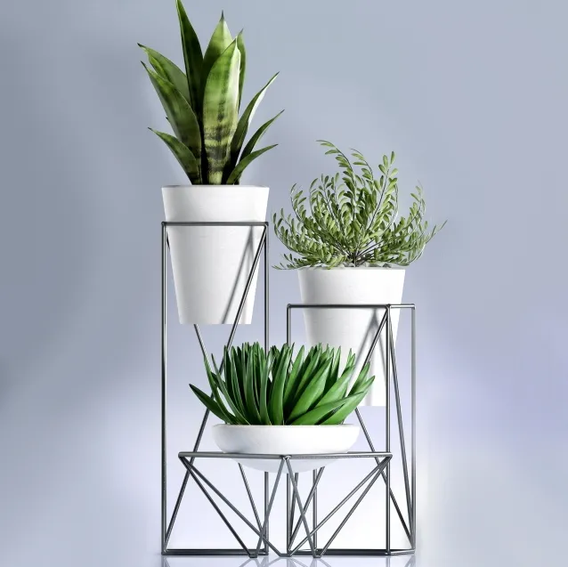 decoration – Plants 99 3D Model decoration – Plants 99 3D Model