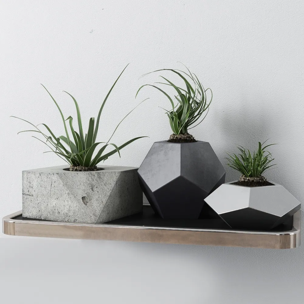 decoration – Plants 99 3D Model