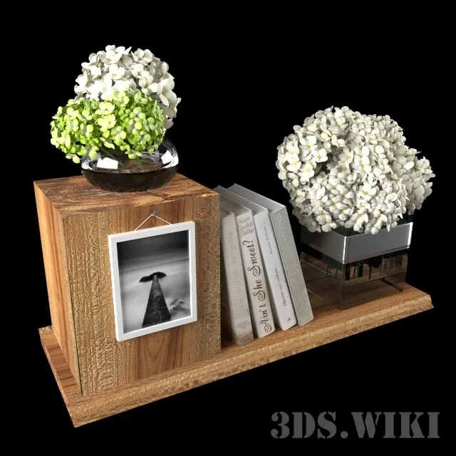 decoration – Plants Books and Other Items 3D Model