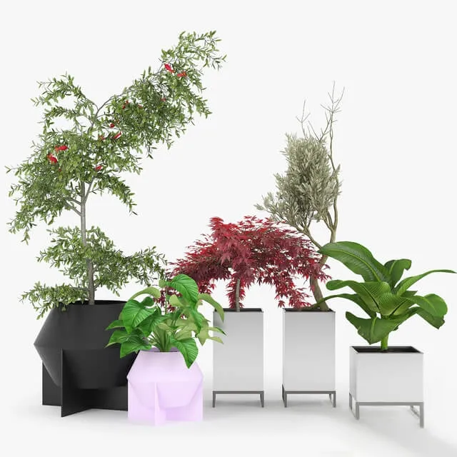 decoration – Plants Collection 022 3D Model decoration – Plants Collection 022 3D Model