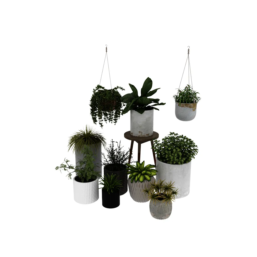 decoration – Plants collection 058 3D Model