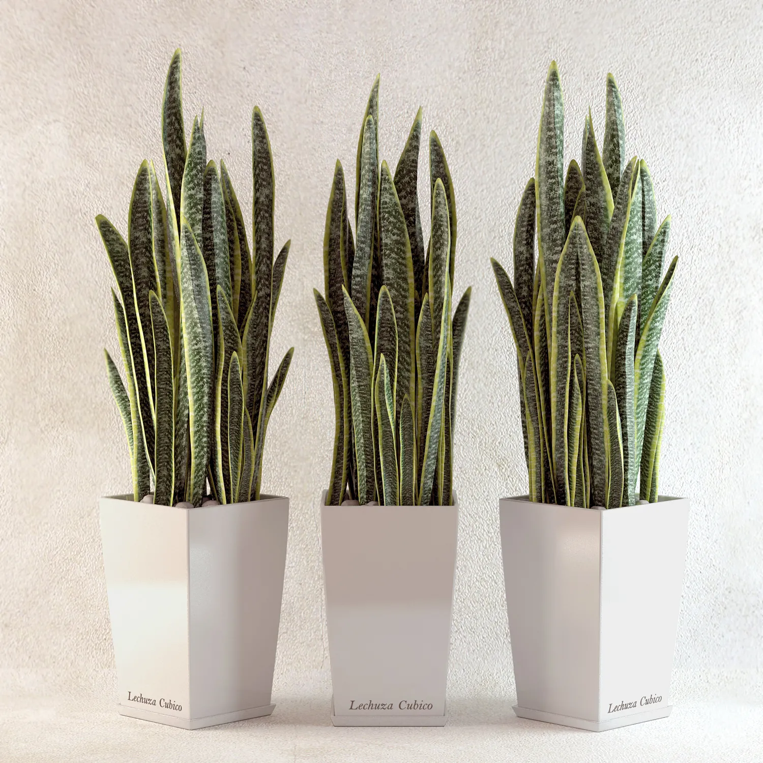 decoration – Plants collection 107 3D Model